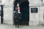 PICTURES/London - The Household Cavalry Museum/t_P1280391.JPG